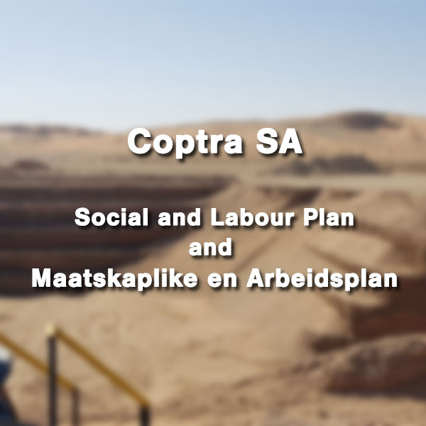 SOCIAL AND LABOUR PLAN